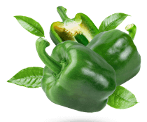 capsicum